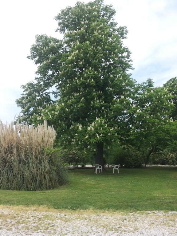 Agriturismo Al Navile Malalbergo Eksteriør billede