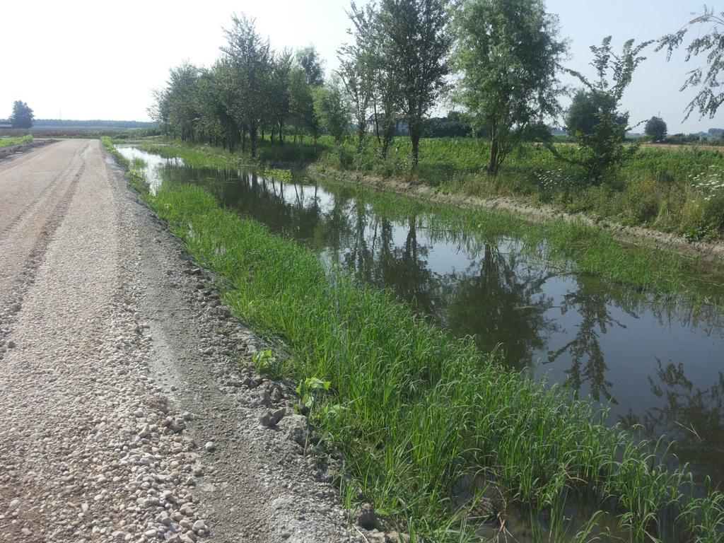 Agriturismo Al Navile Malalbergo Eksteriør billede