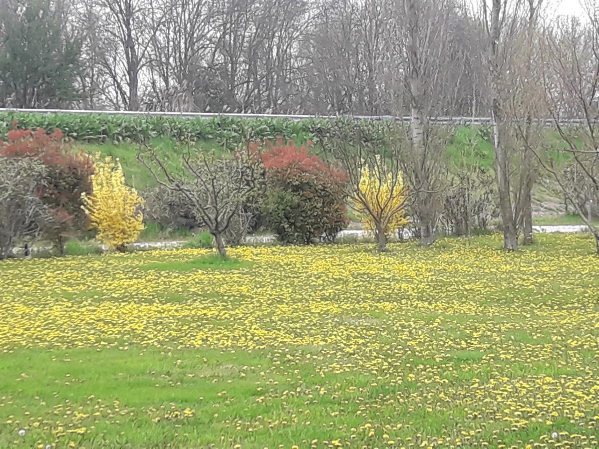 Agriturismo Al Navile Malalbergo Eksteriør billede